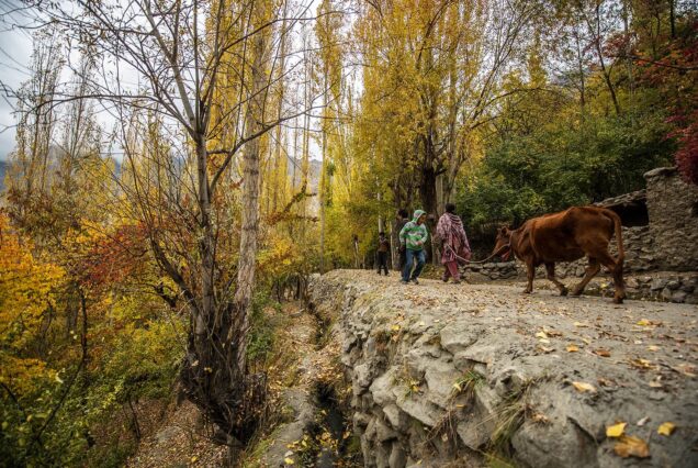 Silk Road Cross-Border Adventure
